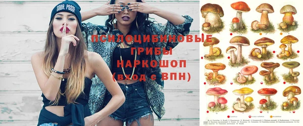спайс Покров