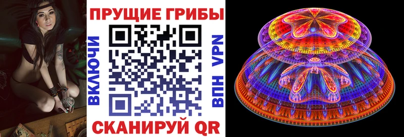 закладка  Тарко-Сале  Псилоцибиновые грибы мицелий 